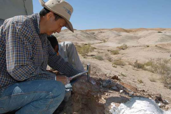 徐星在野外挖掘化石