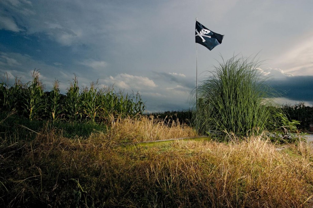 �����ı�־��һ����­ͷ����������Ĺ�ͷ��������Τ��‧̷���£�Wayne Tankard���ڱ����������ݵĲ�ҵ�ϡ� ��Сʱ�����Ƕ��Ǻ����ԡ�����˵����