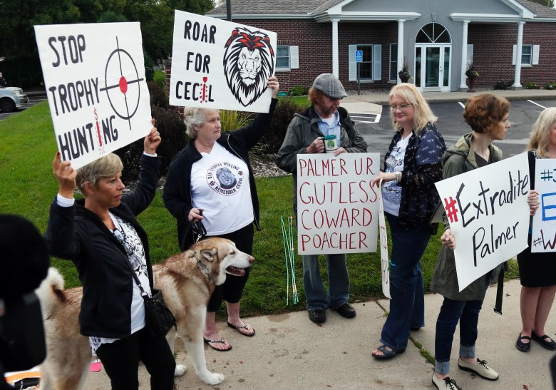 �������������ھ���ʾ��