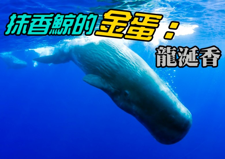 ר��ȷ���ÿ顰��ʯ����ͼ���������㡣