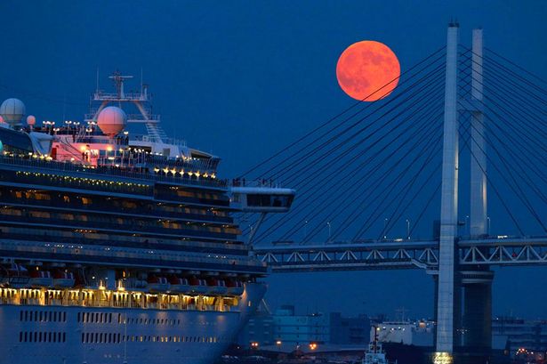 今年血月出现的时间,与去年血月(图)相近。