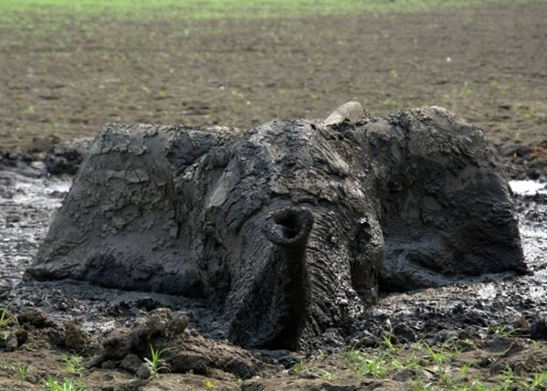 ������ȫ��������