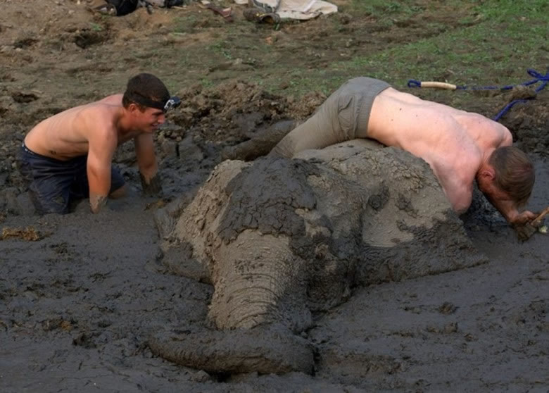 ̩�գ��ң�һ�ȳ����������Ӱ���������壬�������ӳ����졣