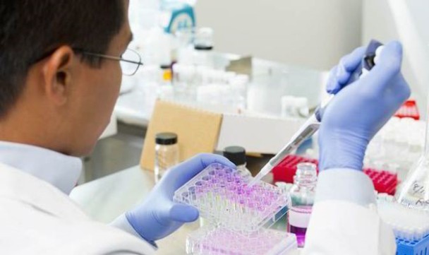 ��ʱ����֤����ʾ�������͵����ƣ�������͵��������״�����ȥ��