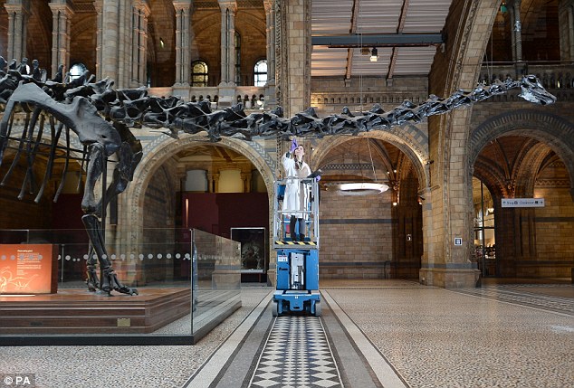 Ӣ����Ȼ��ʷ����ݾ޴������Ǽ�Dippy��½������Ӣ������ѡַ����