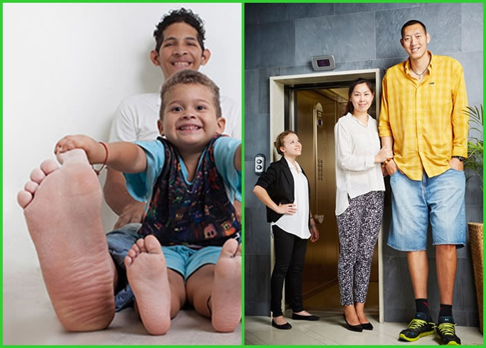 ϵ˹ӵƣͼޣΪȫߵİ£ͼ