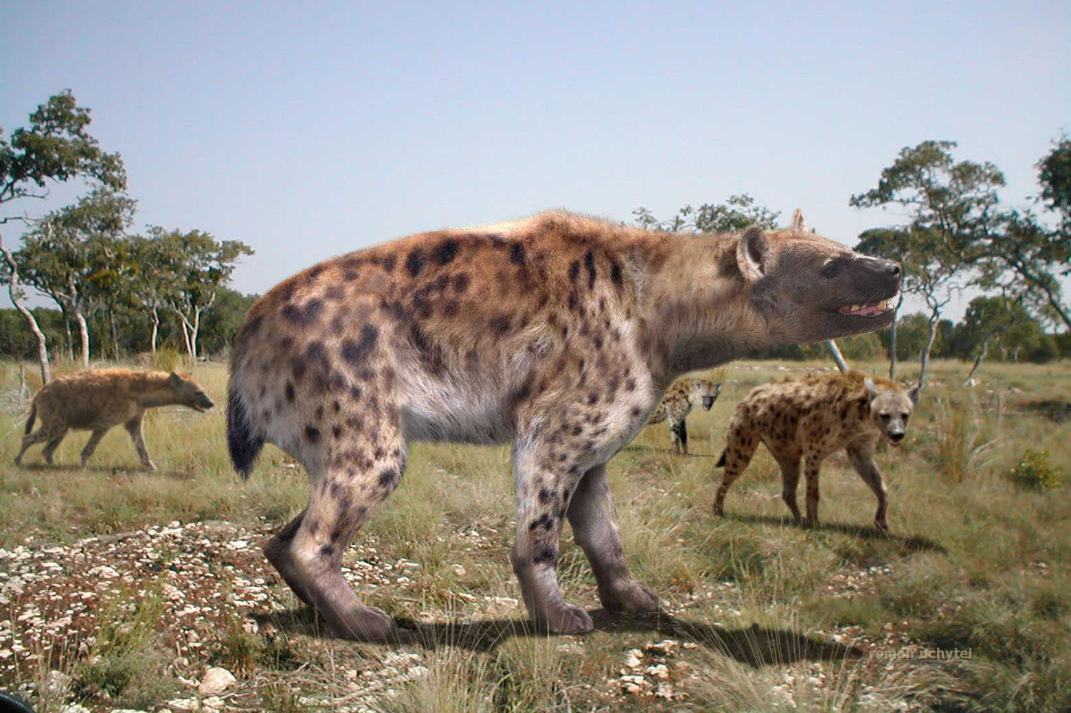 早期原始人类没能在欧洲生存下来重要原因是缺乏与巨鬣狗竞争的有效工具