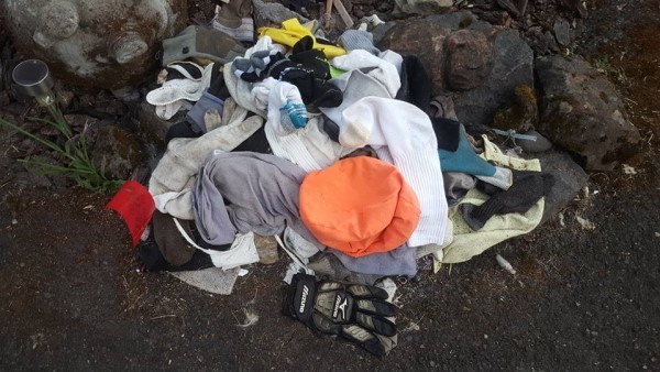 ոݾеĳèTiggerȻǡ͵