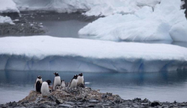 英国专家发表报告,指人为的全球变暖势将于今明两年造成非常高的平均气温。
