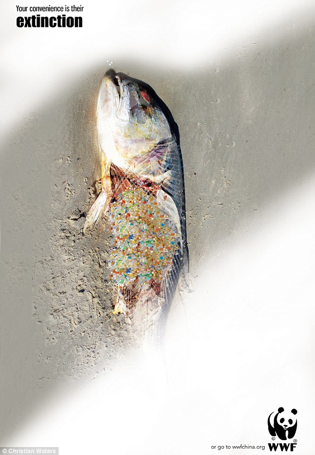 ʦChristian WatersԺĿӰ