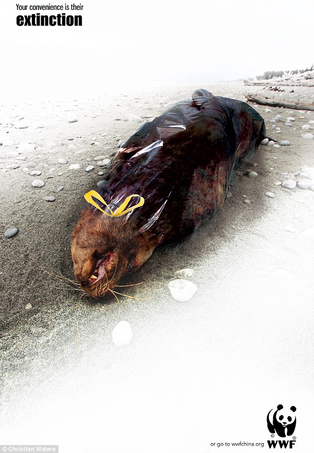 ʦChristian WatersԺĿӰ