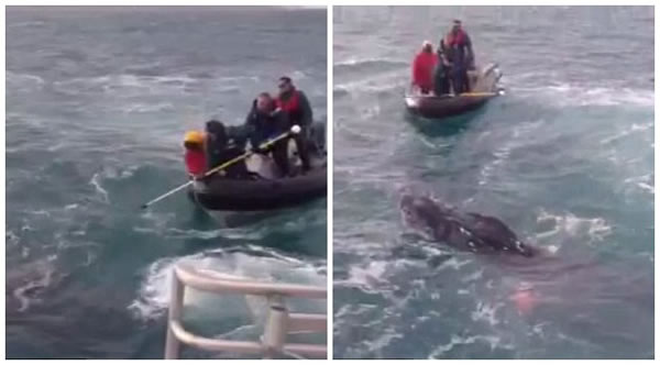 ������ͷ�����������׶�����������Сʱ����