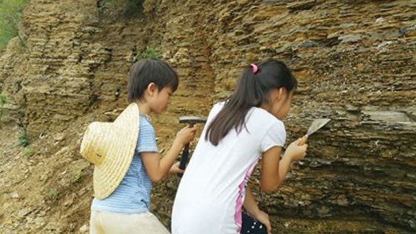 参加夏令营的小朋友尝试在页岩地层中找寻化石痕迹