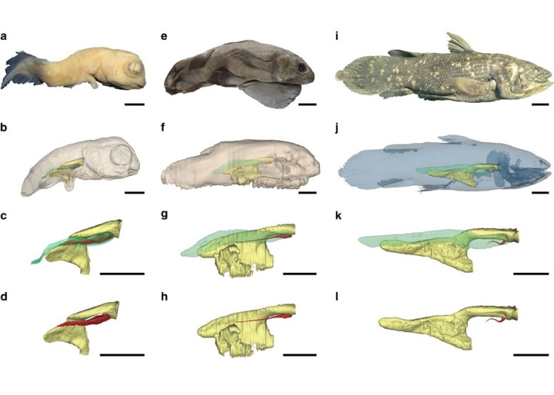 оʾḁ̊́йõķΣɫʾڳ׶ձûйܣ˻