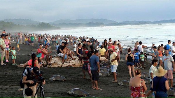 ��˹����ӵİ�˹��ŷ�Ⱥ�̲��P�꼯�����ϰ����� �ϰ��ο͵�·������