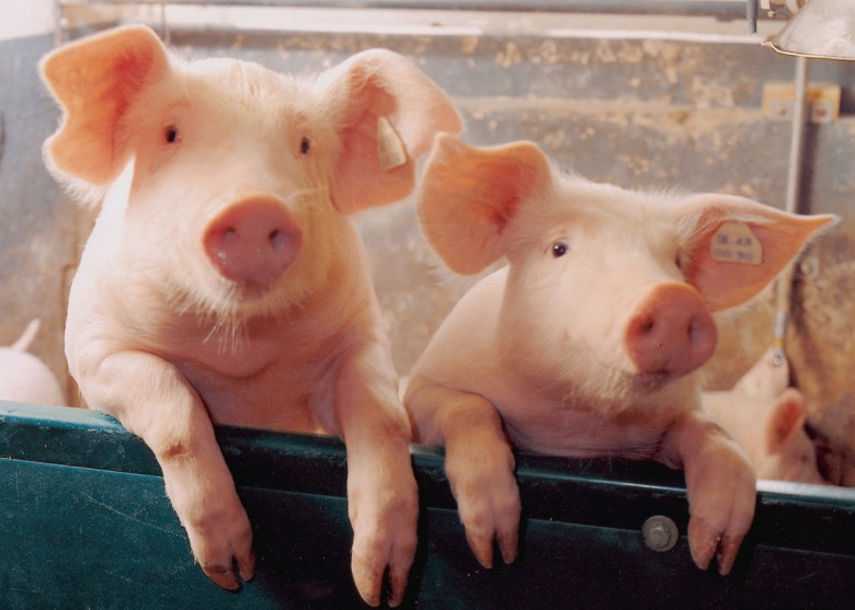 ���������о���Ա�Ի�����ʵ��