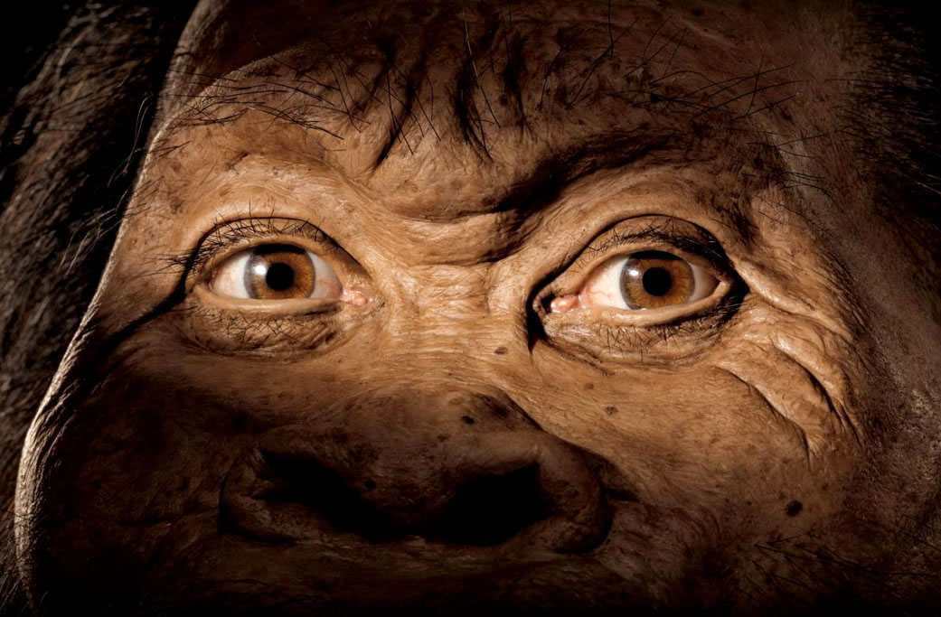 南非洞穴发现Homo naledi 是非洲已发现的最大的化石宝藏