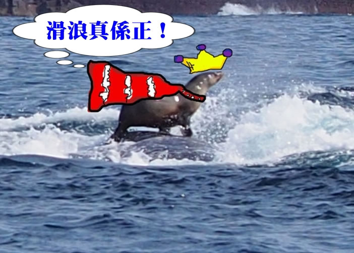 ���亱��һĻ������һֻ������Ȼվ����ͷ�������������