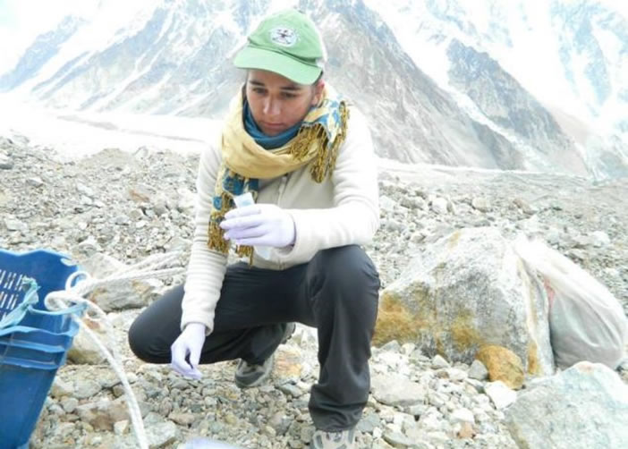 ´Ǹ壬ֻ밲ֵʬͼΪռʬDNA