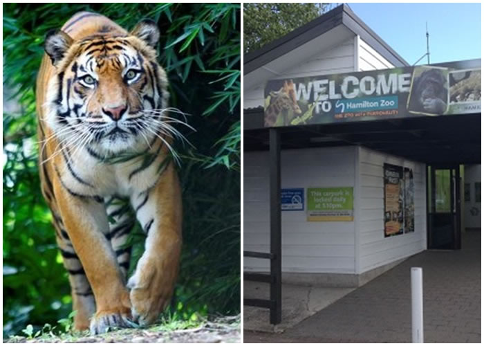 ���ܶ��ٶ���԰��ŮְԱ���ϻ�ҧ������ͼΪ԰�������ϻ���