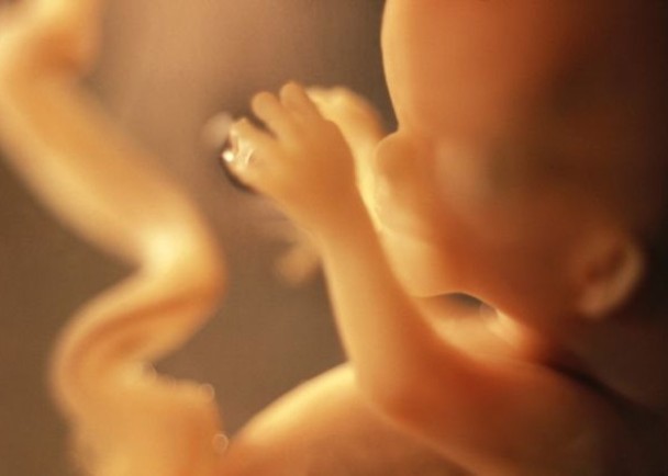 ȱ��5����ԭø�������̥����ĸ������ʱ������������