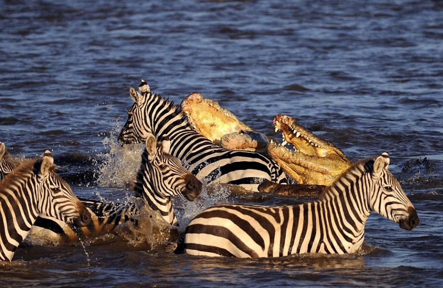 ��������������������Ȼ������������������Χ��Ǩ�����