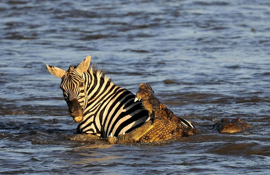 ��������������������Ȼ������������������Χ��Ǩ�����