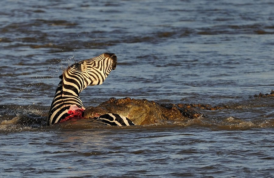 ��������������������Ȼ������������������Χ��Ǩ�����