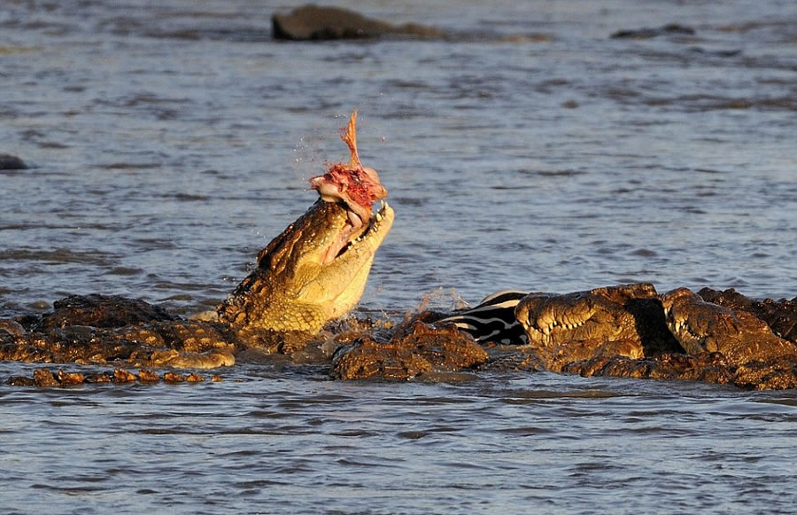 ��������������������Ȼ������������������Χ��Ǩ�����