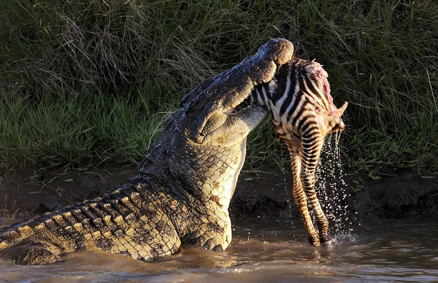 ��������������������Ȼ������������������Χ��Ǩ�����