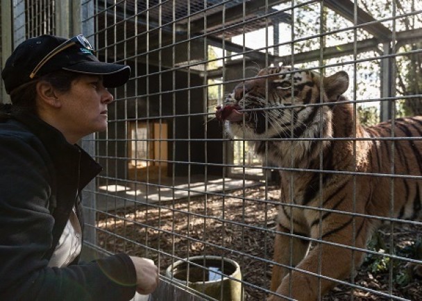 ��¶��գ��󣩲ұ��ϻ�Ϯ������