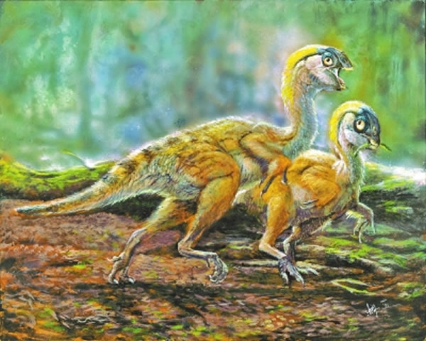 迷你豫龙复原图