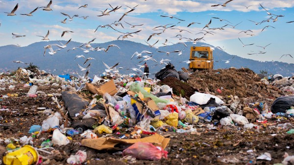 2012�������˶�����������Ԥ�ڵ�һ��