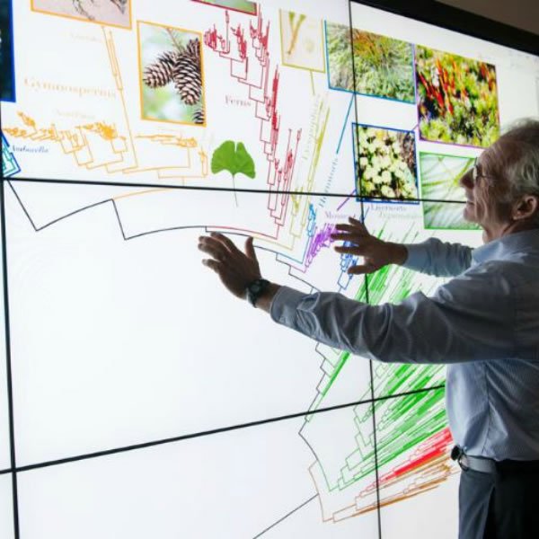 第一个涵盖动物、植物、真菌、微生物约230万个已命名物种的“生命树”草图