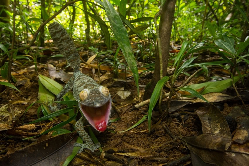 Ӣ˹жѧϵѧ˹ĵĿɰαװʦ