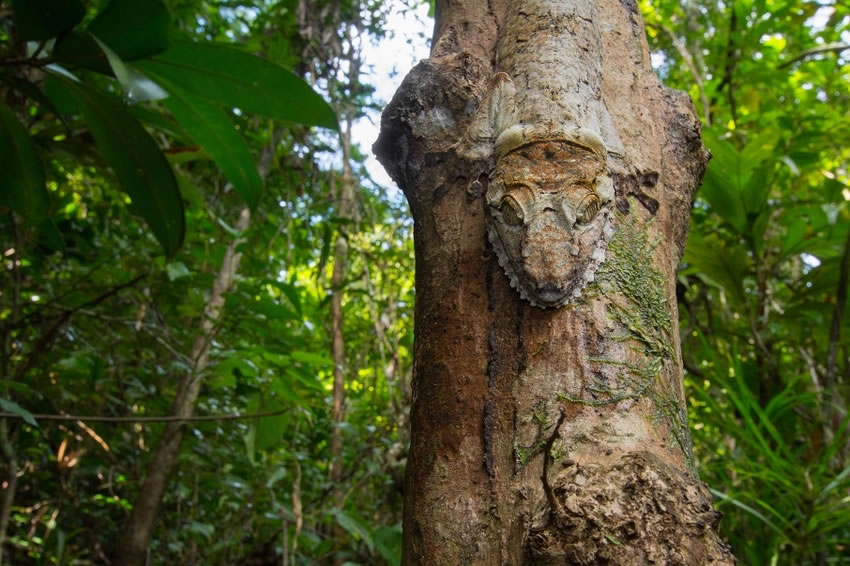 Ӣ˹жѧϵѧ˹ĵĿɰαװʦ