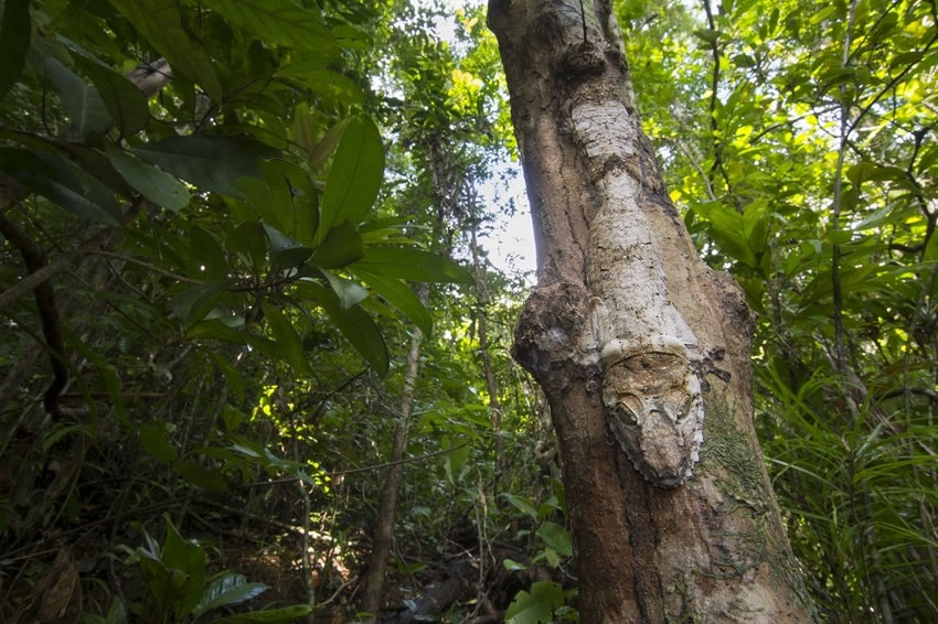 Ӣ˹жѧϵѧ˹ĵĿɰαװʦ