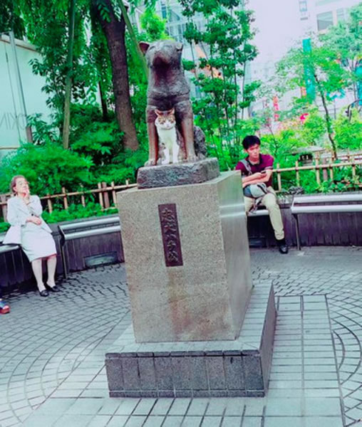 èǷֻϲƸߵ㣬⻭涼˿˾úů