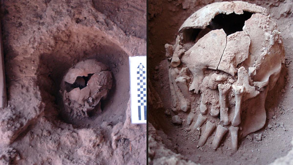 巴西Lapa do Santo岩棚发现新世界最古老的斩首案例 可追溯至九千年前