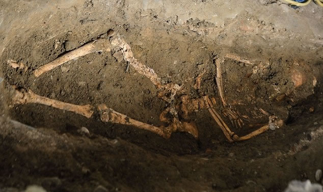 ���ڸ�Ĺ�����������ǣ���δ֪�ú����ǲ��Ǹ��������ᡣͼΪ�޵�Ժ������һ�����ǡ�