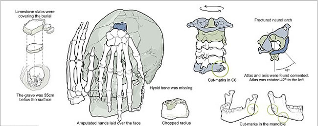 科学家绘制的出土头骨分析图