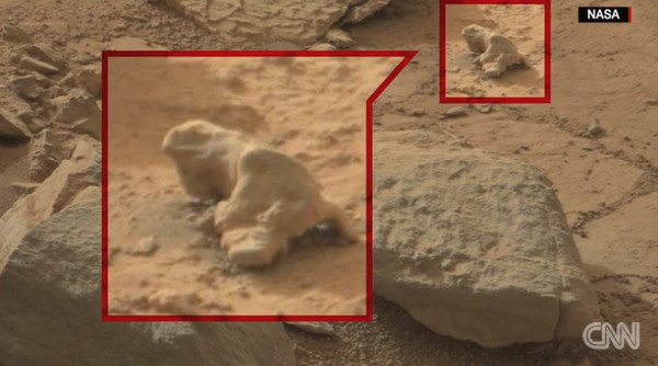 将宣布在火星上发现生命?美国太空总署(NASA)周一召开紧急记者会