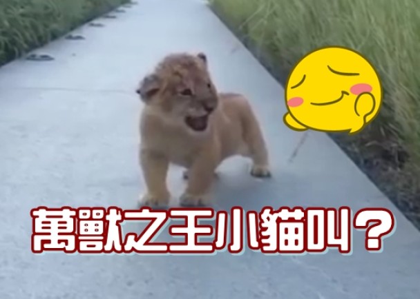 Сʨ���������౦������ѧ���������