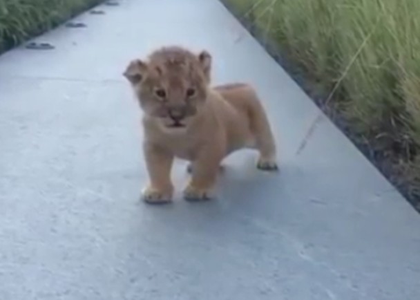 ������Ц���𣿡�