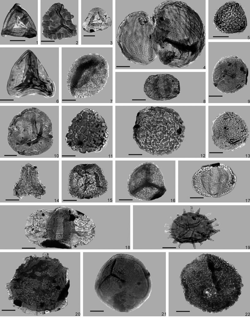 Shansiensis �߷�����е�һЩ��Ҫ���ַ���