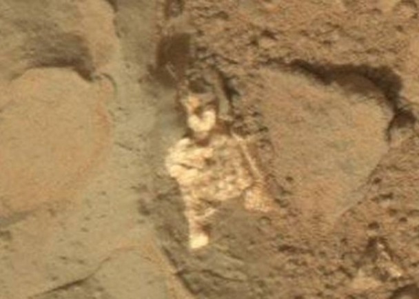 �ð�ɫ������״���˵�ͷ­���ֱ۵ȹ���ʮ�����ơ�