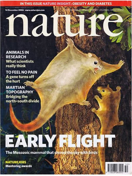 21�껭�����ϡ���Ȼ������