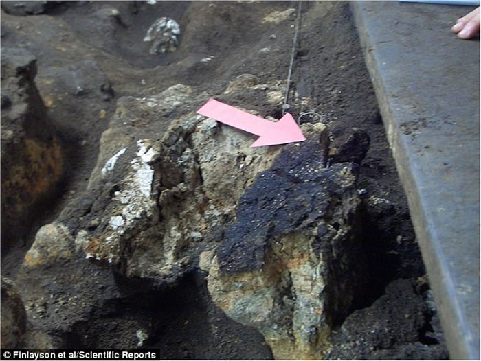 数十万年前重金属等污染物已经威胁到古人类健康