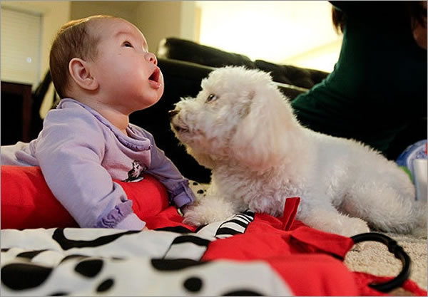 肠道微生物群中4种保护性细菌含量低的婴儿更可能发生哮喘