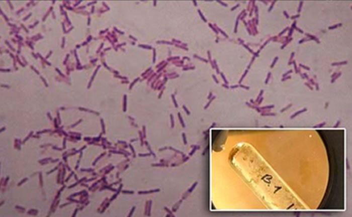 ע350ǰϸ󣬶˹ѧҳı佡